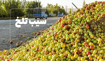 خبرگزاری فارس - فیلم| داستان سیب‌هایی که آب دریاچه ارومیه را می‌بلعند