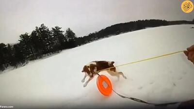 (ویدئو) کمک شگفت‌انگیز یک سگ برای نجات صاحبش از دریاچه یخ‌زده
