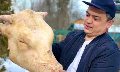 (ویدئو) پخت متفاوت کله پاچه گاو و گوسفند به سبک آشپز قزاقستانی
