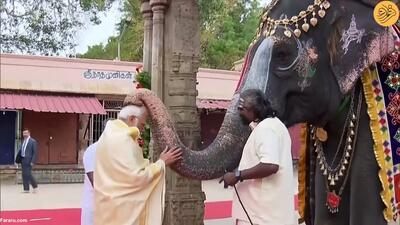 (ویدئو) نارندرا مودی از یک فیل برکت گرفت