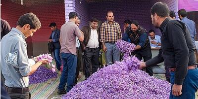 خبرگزاری فارس - لزوم عرضه زعفران در بورس کالا