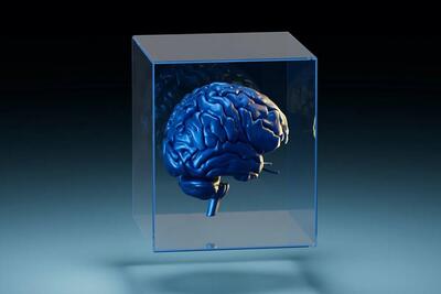 هوش مصنوعی مانند مغز انسان به یاد می‌آورد و یاد می‌گیرد