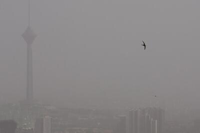 کمیته اضطرار آلودگی هوای تهران فردا صبح تشکیل جلسه می دهد