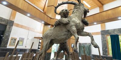خبرگزاری فارس - موزه تاریخ طبیعی در اسفراین افتتاح شد