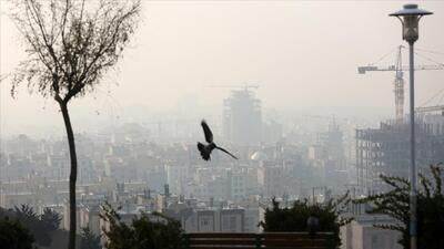 چهارمین علت مرگ زودرس در دنیا  آلودگی هوا هر سال ۴۵ هزار نفر را در ایران می کشد