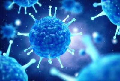 انتشار ویروسی ۲۰ برابر مرگبارتر از کرونا؛ از X چه می‌دانیم؟