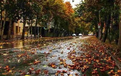 تهران بارانی شد نه برفی!