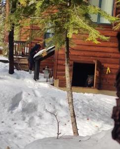 محبوس شدن خرسی در زیر زمین یک خانه/ پناه حیوان در برف و سرما+ عکس