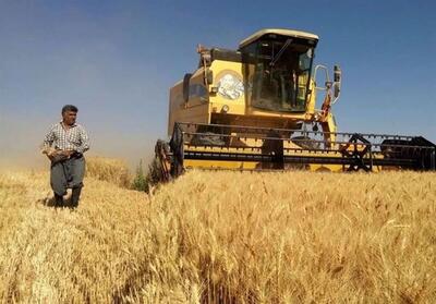 وزارت جهاد در تعیین نرخ خرید گندم حفظ تعادل در تولید سایر محصولات استراژیک را در نظر گرفت - تسنیم