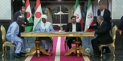 مخبر: راهبرد دولت سیزدهم توسعه روابط با کشورهای آفریقایی است