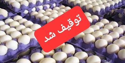 خبرگزاری فارس - کشف 900کیلوگرم تخم مرغ غیر مجاز از یک انبار در قائم شهر