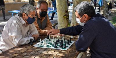 خبرگزاری فارس - ۱۱ درصد جمعیت جامعه سالمندان هستند