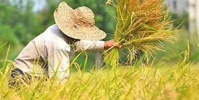 خبرگزاری فارس - مصوبه مجلس برای حمایت از صندوق بیمه محصولات کشاورزی