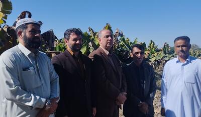 خبرگزاری فارس - فیلم|منطقه آزاد چابهار در افزایش ارزش افزوده محصولات کشاورزی زرآباد موثر باشد