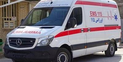 خبرگزاری فارس - دعوت رییس اورژانس فارس از خیرین، برای مشارکت در خرید آمبولانس بدون پرداخت حقوق ورودی و هزینه گمرکی
