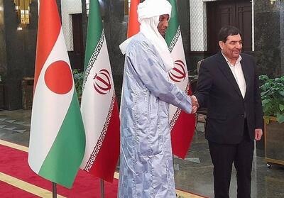 استقبال رسمی معاون اول رئیس‌جمهور از نخست وزیر نیجر - تسنیم
