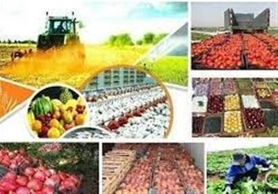تولید محصولات کشاورزی در کردستان به 3.5 میلیون تن افزایش یافت - تسنیم
