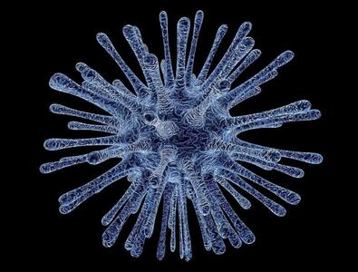 ویروس زامبی قطب شمال چیست