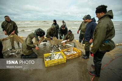 دستگیری متخلفین صید ماهی با مواد منفجره در پلدختر