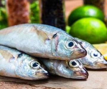 میزان جیوه در کدام ماهی ها بالاتر از بقیه است؟