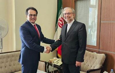 بازگشت سفیران ایران و پاکستان + عکس