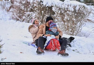 شادی مردم تبریز بعد از بارش برف- عکس خبری تسنیم | Tasnim
