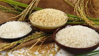 خبر خوش برای برنجکاران شمال/ اختصاص ۴۰ هزار میلیارد برای خرید برنج مازندران با دستور رئیس جمهور