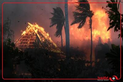 ۳۱ آتش‌سوزی در جنگل‌های کلمبیا