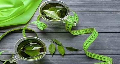 آیا می توانم در طول پریود چای سبز بنوشم؟