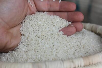 با وجود برنج از سال گذشته در انبارها، واردات برنج انجام می شود