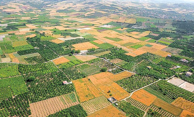 رفع تداخل بیش از ۷۰ درصد از اراضی کشاورزی و منابع ملی در همدان