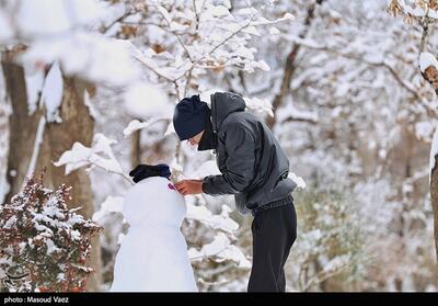 بارش برف در ‌  شمیرانات، پردیس، دماوند و فیروزکوه  / اعلام آماده‌باش ‌در فیروزکوه + فیلم - تسنیم