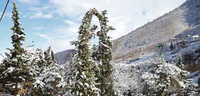 تصاویر| زمستان برفی روستای تاریخی و گردشگری زیارت گرگان