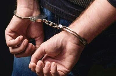 دستگیری سارق حرفه ای با 20 فقره سرقت در شهرستان دنا