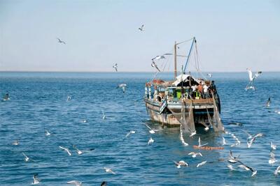 زاهدان کِی از دریای عمان سیرآب می‌شود+ فیلم