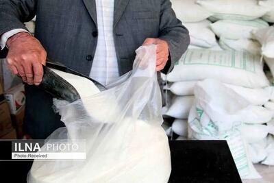 160 تن برنج و شکر تنظیم بازار در قزوین توزیع می‌شود