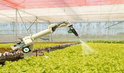 محصولات جدید دانش بنیان حوزه غذا و کشاورزی رونمایی می‌شوند