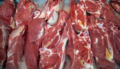مدیرعامل اتحادیه دام سبک درباره وعده دولت برای کاهش قیمت گوشت: مبنای کارشناسی ندارد | رویداد24