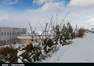 اولین برف زمستانی در شهرستان ازنا لرستان- فیلم دفاتر استانی تسنیم | Tasnim