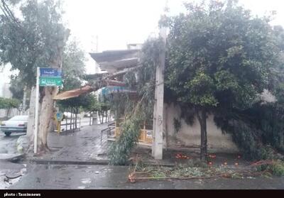 خسارت باد و طوفان به گلخانه‌ها در بهمئی - تسنیم