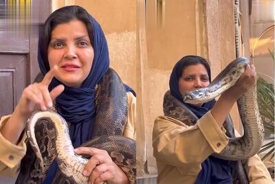 این زن ایرانی زیر بغل مار پیتون را پیدا کرد (فیلم)