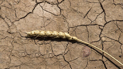 62 درصد کشور درگیر خشکسالی است
