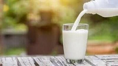 شیر؛ میان‌وعده‌ای مناسب برای افزایش یادگیری دانش‌آموزان
