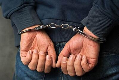 کشف یک فقره سرقت و دستگیری ۴ سارق و مالخر در اسدآباد