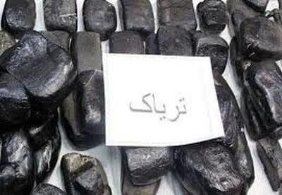 کشف بیش از ۳۳۸ کیلو تریاک در عملیات مشترک پلیس داراب و البرز