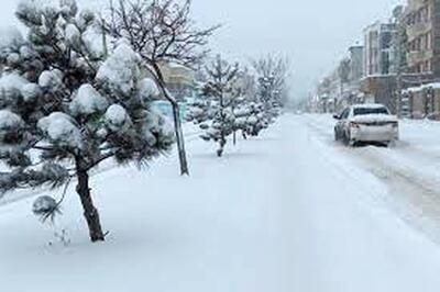 ویدئویی تازه و هیجان‌انگیز از بارش برف در تهران