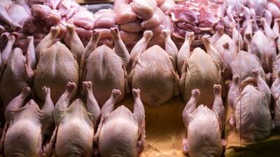 قیمت مرغ در بازار امروز 11 بهمن| فیله مرغ چقدر شد؟