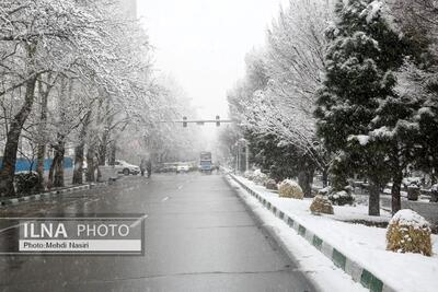 شن‌پاشی در مناطق برف‌خیز پایتخت؛ مشکلی در معابر گزارش نشده است