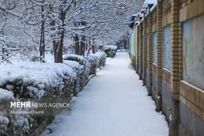 بارش خفیف برف در زنجان