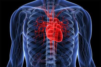 این علائم مهم نشان دهنده نارسایی قلب است